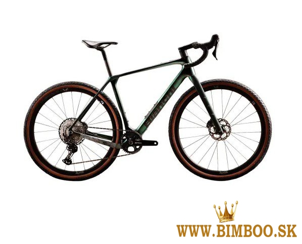 2025 Bianchi Arcadex Pro Carbon - Gravel Bike