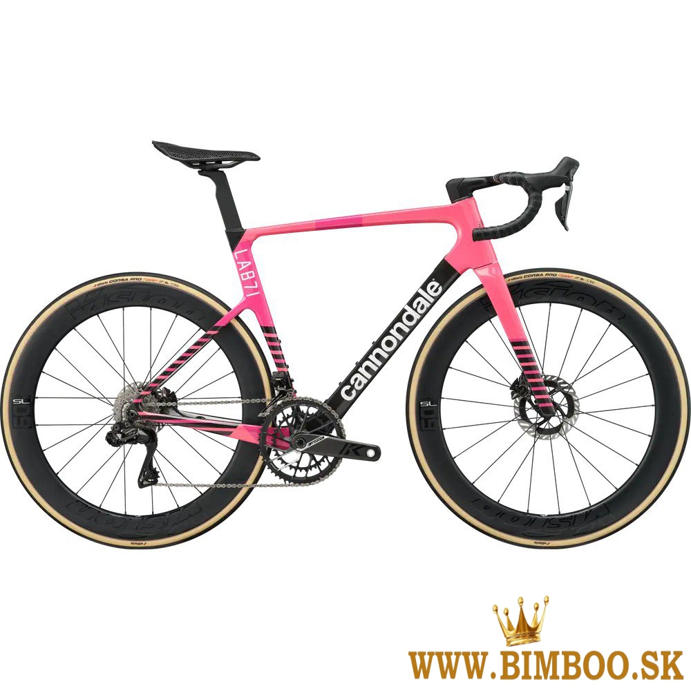 2025 Cannondale SuperSix EVO LAB71 Team Road Bike (zonacycles.com)