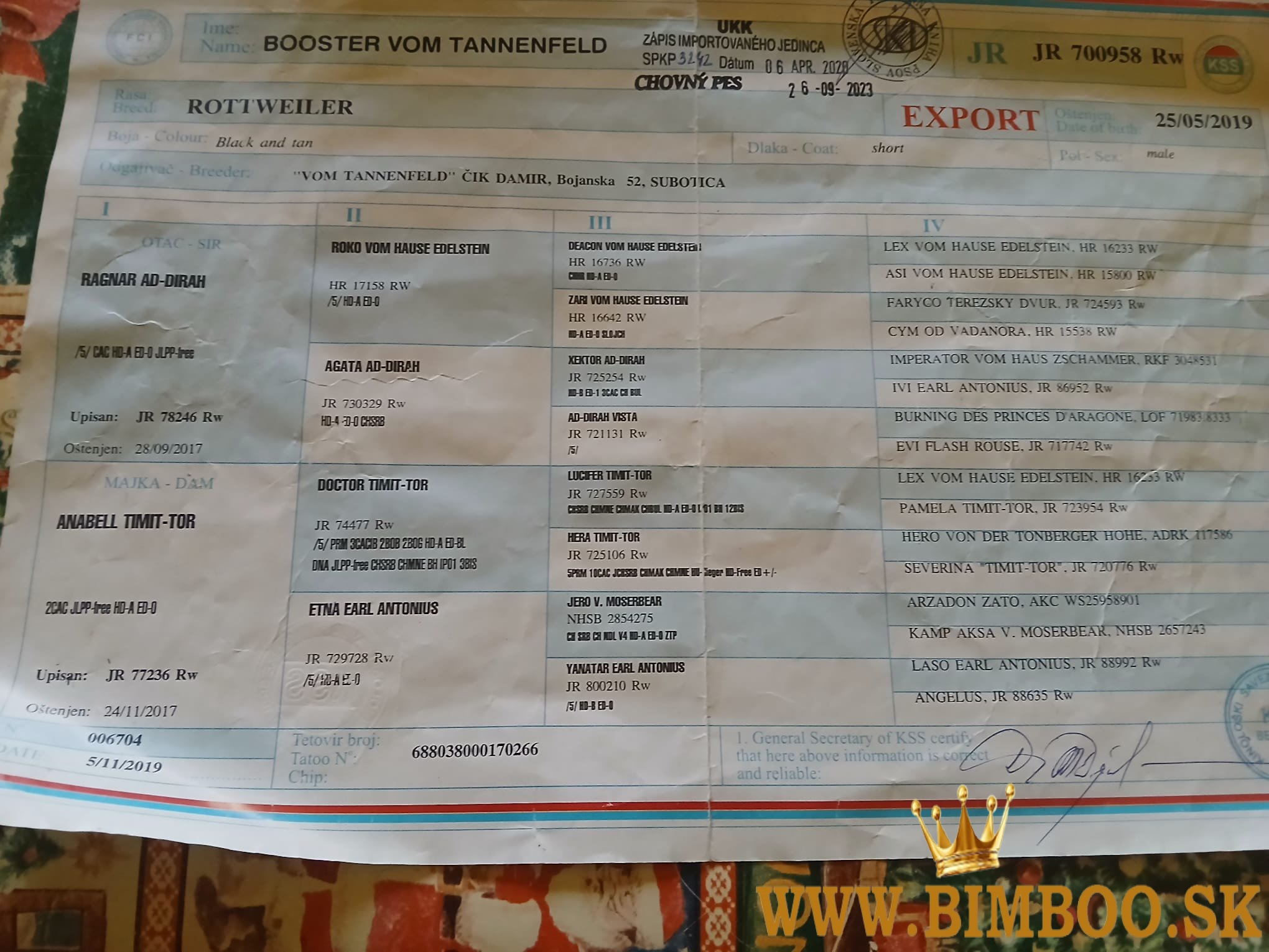 Šteniatka Rottweilera s PP