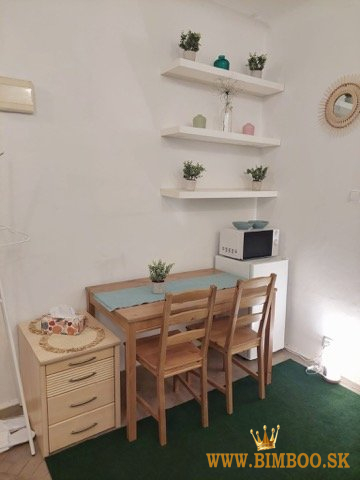 Prenájom garsónky v absolútnom centre Bratislavy | oproti Eurovei 