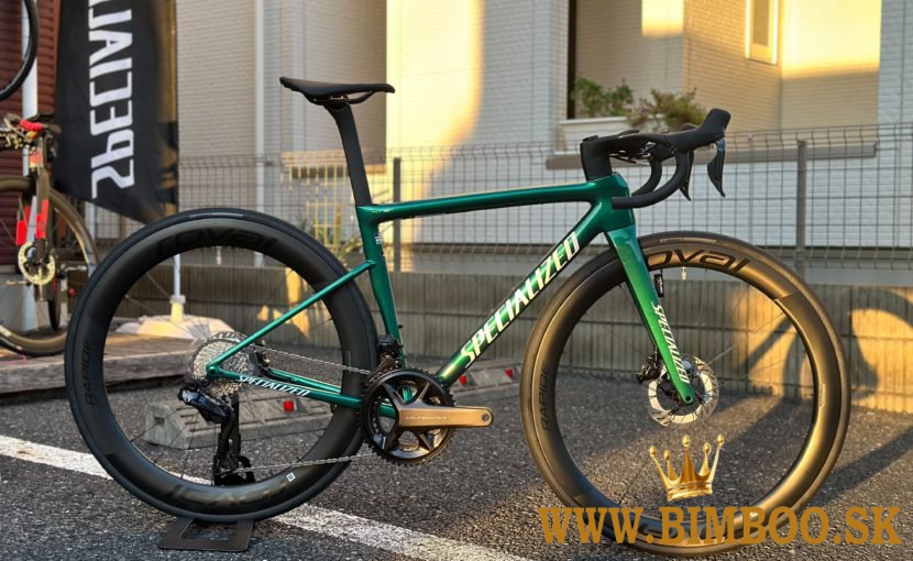 2024 Specialized Stumpjumper EVO Expert T-Type