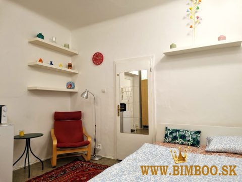 Prenajom garsónky v absolútnom centre mesta BA I