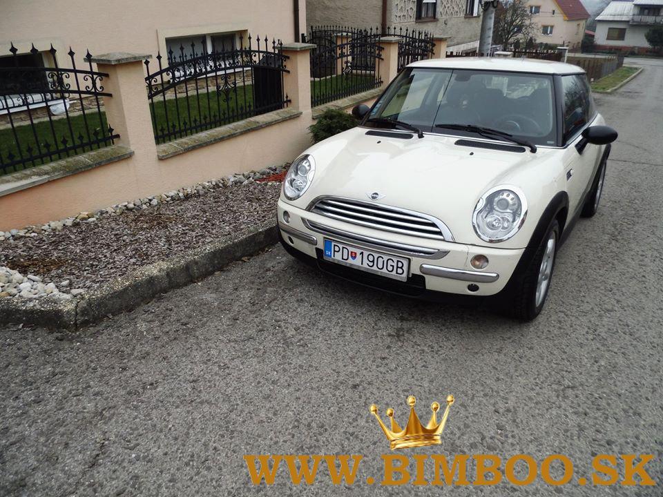 Mini Cooper One -D