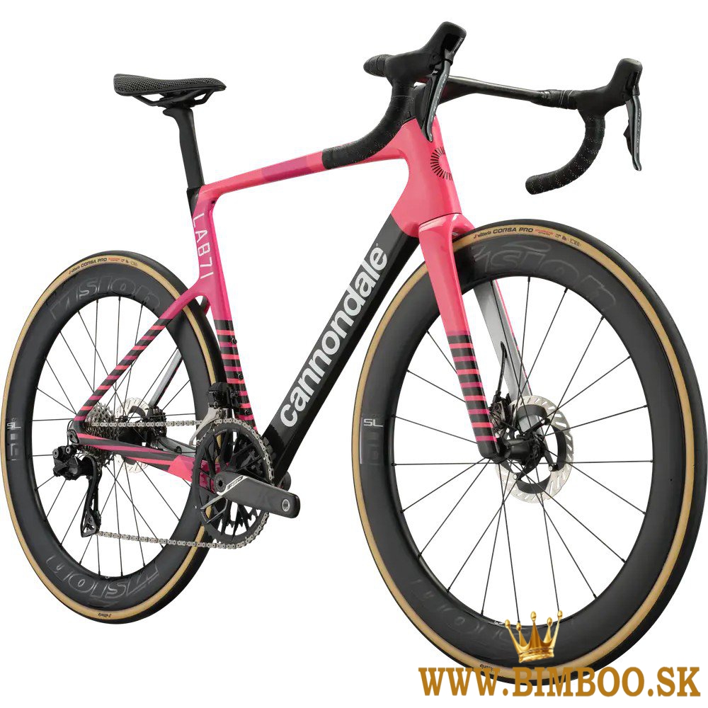 2025 Cannondale SuperSix EVO LAB71 Team Road Bike (zonacycles.com)