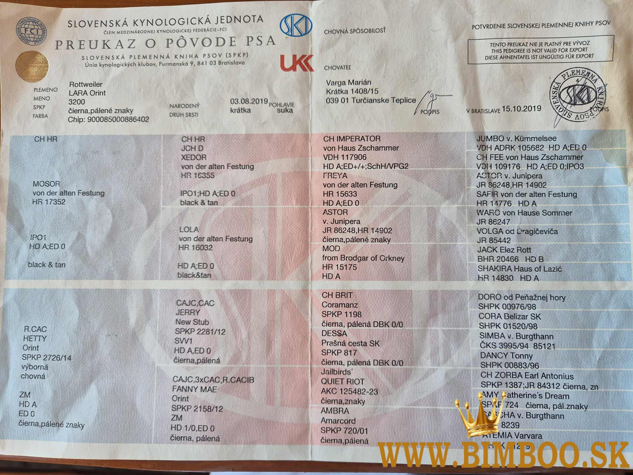 Šteniatka Rottweilera s PP