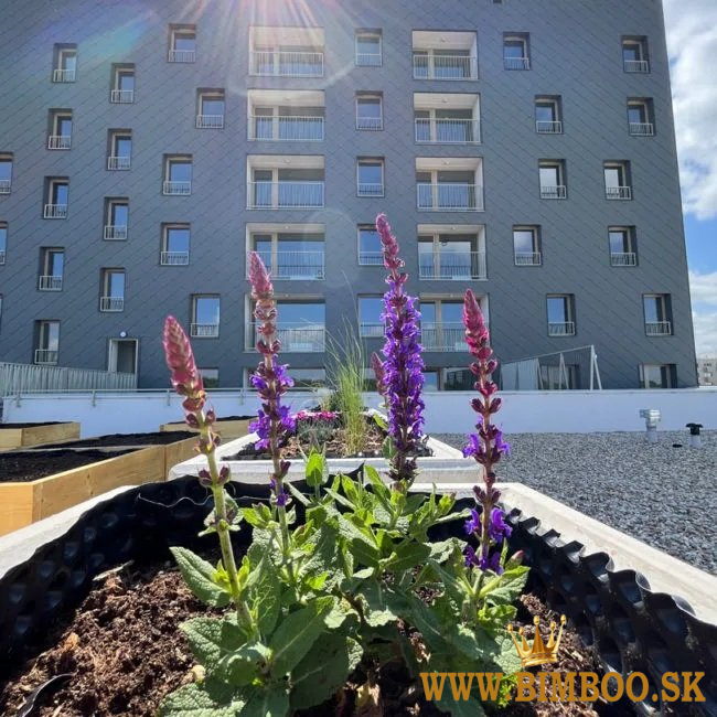 Prenájom 2-izbového bytu – Ivanská cesta, 